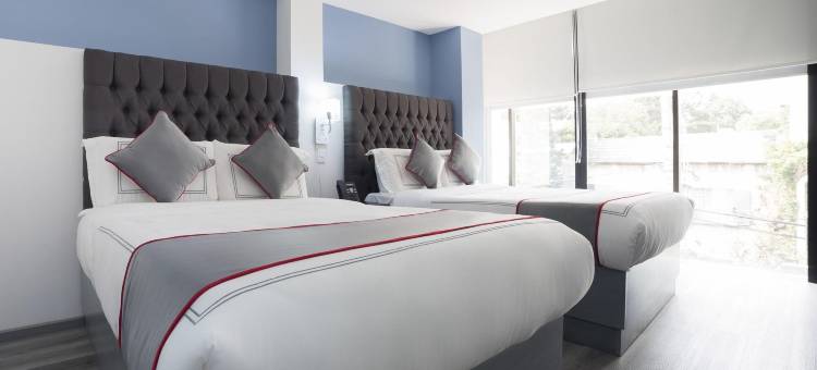 Suites Arboleda 215图片