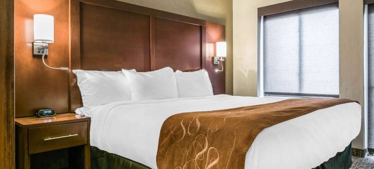 辛辛那提南部弗洛伦斯舒适套房酒店(Comfort Suites Florence - Cincinnati South)图片