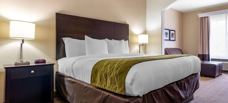 斯科特 - 西拉法叶舒适套房酒店(Comfort Inn & Suites Scott-West Lafayette)图片