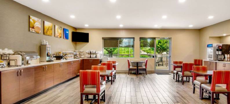 机场舒适酒店(Comfort Inn Airport)图片