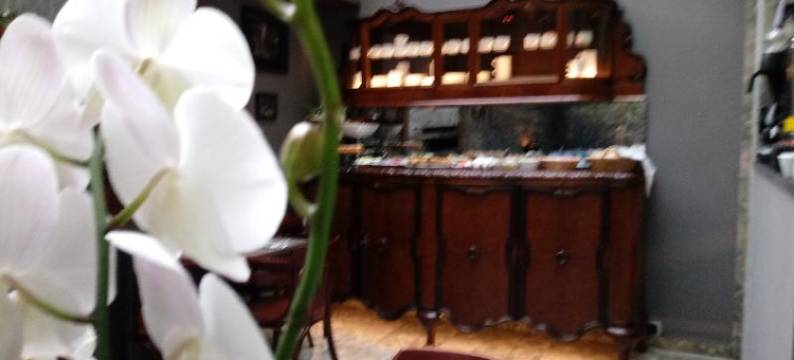 夏洛姆卡兹米尔酒店(Shalom Kazimierz)图片