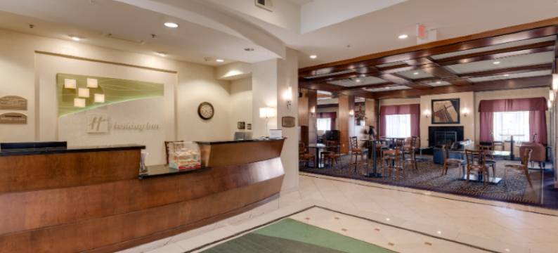 巴特尔克里克假日酒店(Holiday Inn BATTLE CREEK by IHG)图片