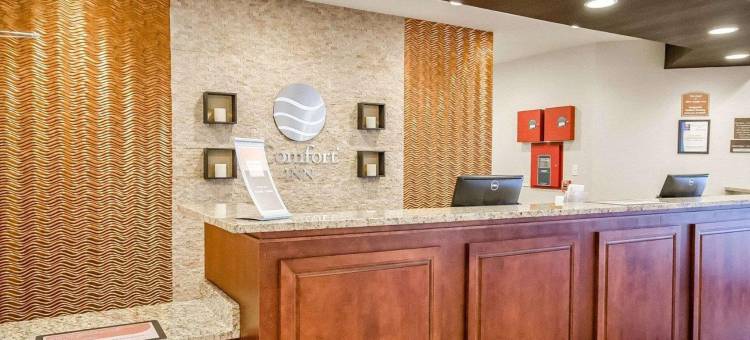 舒适酒店(Comfort Inn)图片