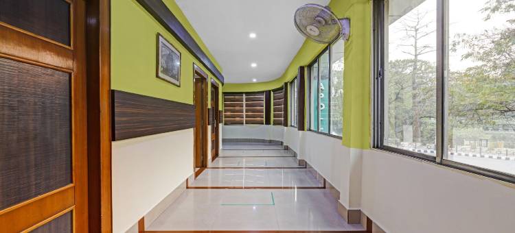 Treebo 阿波罗(Treebo Apollo)图片