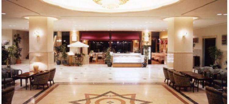 今津阳光桥酒店(Imazu Sun Bridge Hotel)图片