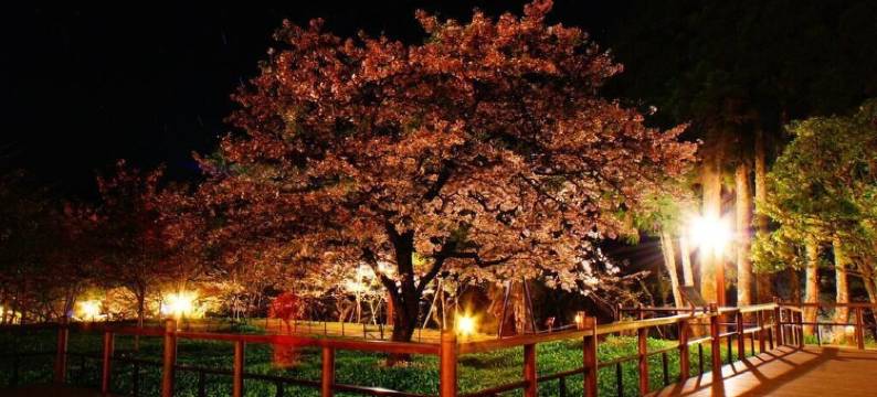 嘉义大峰山庄图片