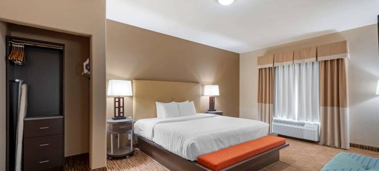 DFW机场贝斯特韦斯特优质套房酒店(Best Western Plus DFW Airport Suites)图片