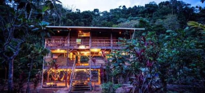 The Pelican House Hostel图片