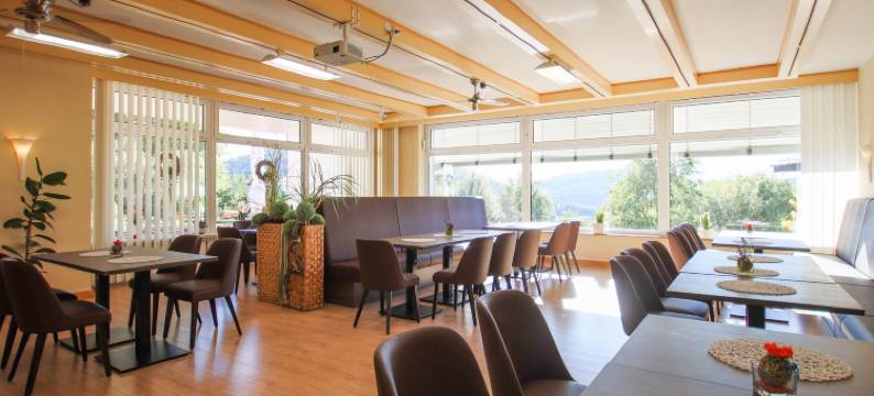 温特尔贝格全景酒店(Panorama Hotel Winterberg)图片