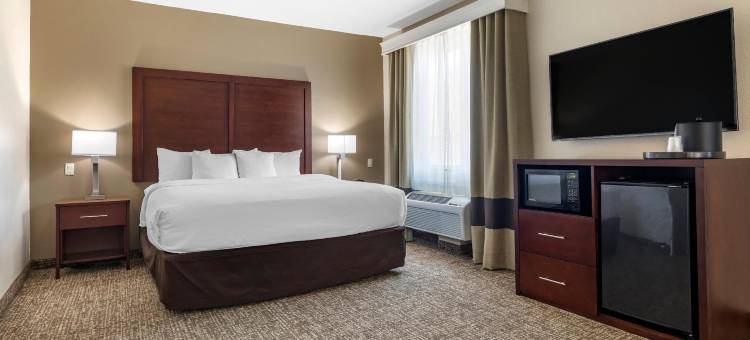 普莱诺-北达拉斯舒适全套房酒店(Comfort Suites Plano - Dallas North)图片