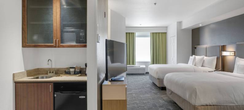 萨克拉门托纳多马斯万豪SpringHill酒店(SpringHill Suites Sacramento Natomas)图片