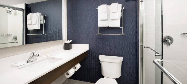 万枫酒店及套房亚历山德里亚西区/马克中心(Fairfield Inn & Suites Alexandria West/Mark Center)图片