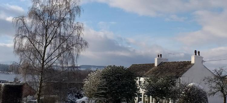 白房子旅馆(The White House Guest House)图片