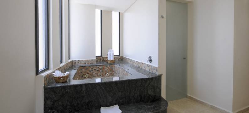 韦拉克鲁斯-博卡德尔里奥假日酒店(Holiday Inn VERACRUZ BOCA DEL RIO by IHG)图片