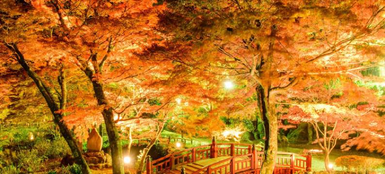 伊豆汤河原温泉御宿瑞鹰(Hotel Zuiyo of Yugawara)图片