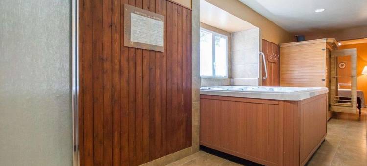 蒙洛里耶舒适酒店(Comfort Inn Mont Laurier)图片