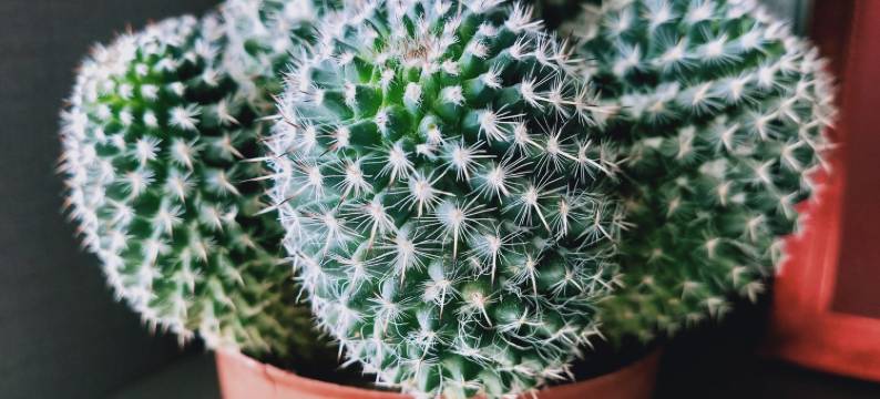 麦小姐的梳妆台公寓(白云鄂博路分店)图片