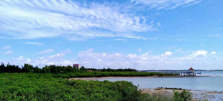 湛江特呈岛唐润度假公寓图片
