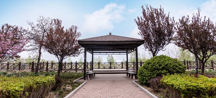 南戴河金海岸遇见海景民宿(渔港道1号分店)图片