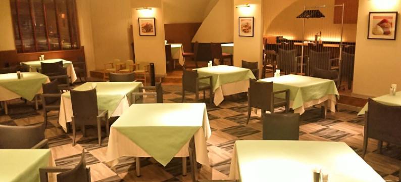 新泻迪亚蒙托酒店(Hotel Diasmont Niigata)图片
