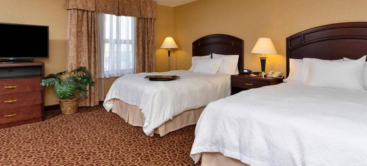 埃德蒙顿国际机场希尔顿欢朋套房酒店(Hampton Inn & Suites by Hilton Edmonton International Airport)图片