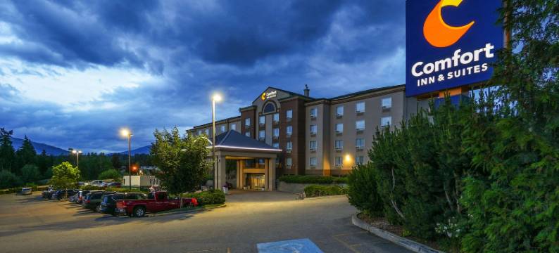 舒适套房酒店(Comfort Inn & Suites)图片