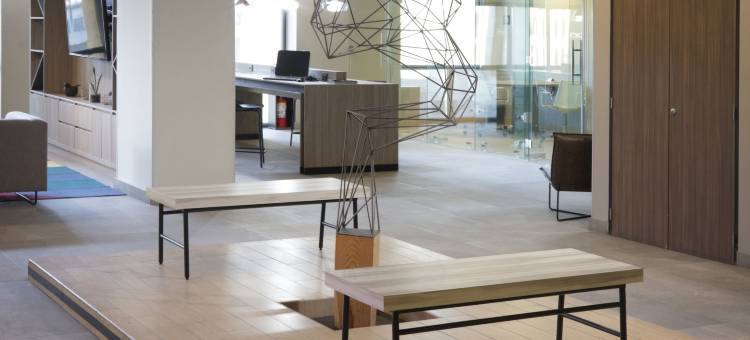 蒙特雷盖勒瑞斯万豪城市快捷普拉斯酒店(City Express Plus by Marriott Monterrey Galerias)图片