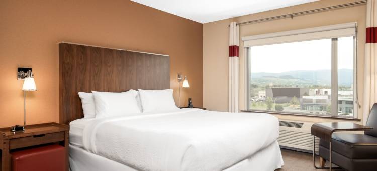 基洛纳机场福朋喜来登酒店(Four Points by Sheraton Kelowna Airport)图片