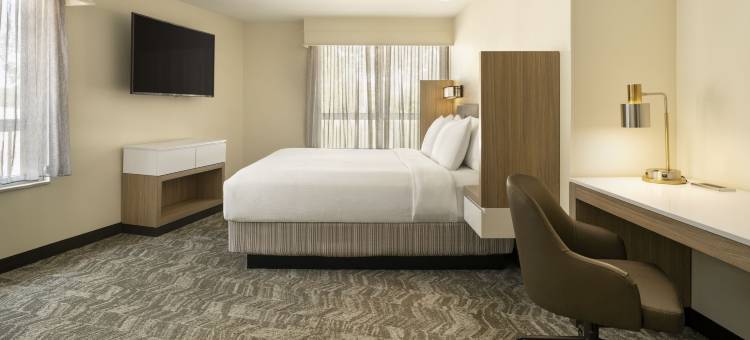 沃斯堡大学SpringHill Suites 酒店(SpringHill Suites Fort Worth University)图片