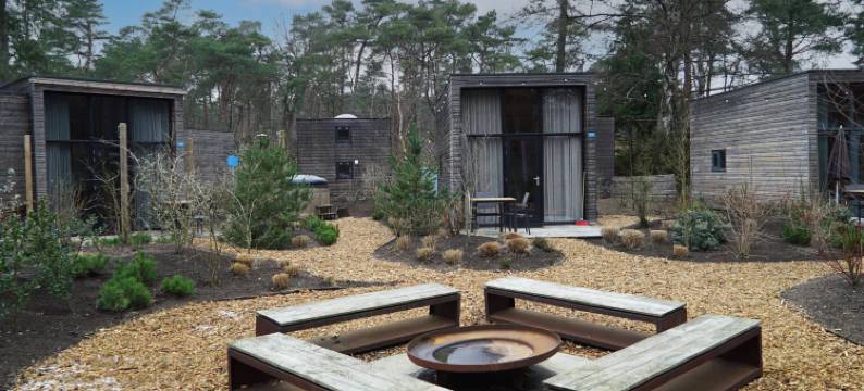 Tiny House 2图片