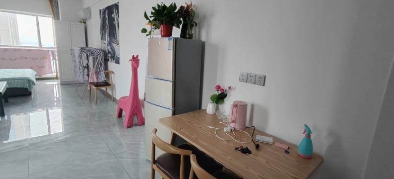 房东赛西施公寓(友谊路分店)图片