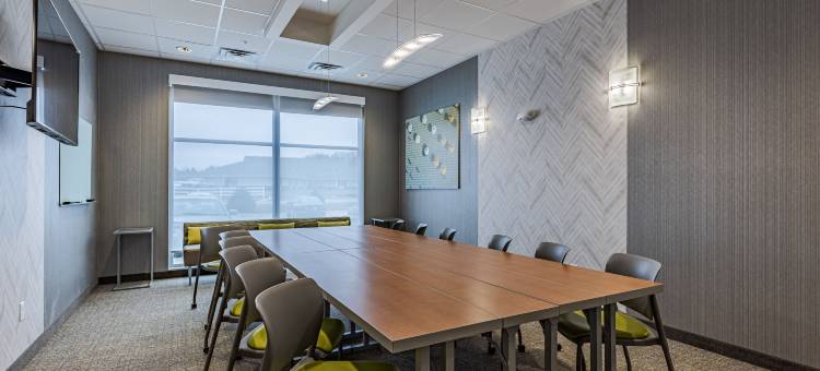 底特律斯特林海茨万豪SpringHill酒店(SpringHill Suites Detroit Sterling Heights)图片