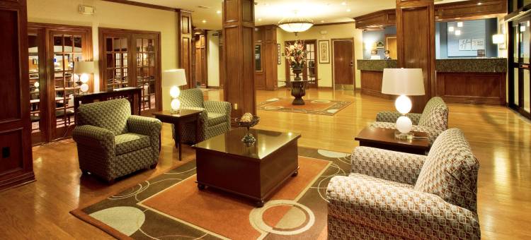 达拉斯艾迪生假日套房酒店(Holiday Inn & Suites Dallas-Addison)图片