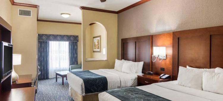 舒适套房酒店-盖恩斯维尔(Comfort Suites Gainesville)图片