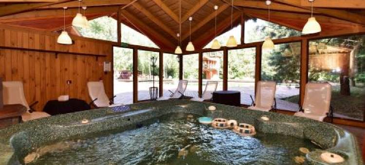 Aerodream Trakai图片