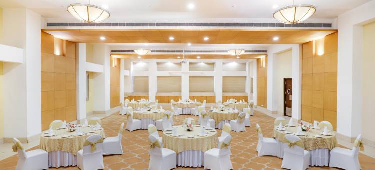 古尔冈柠檬树尊贵酒店1(Lemon Tree Premier 1, Gurugram)图片