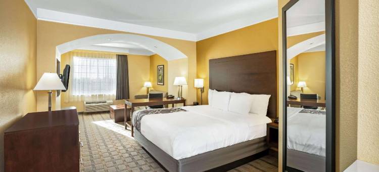 休斯顿西北环城高速8号西路拉昆塔温德姆套房酒店(La Quinta Inn & Suites by Wyndham Houston NW Beltway8/Westrd)图片