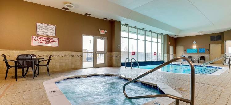 圣路易斯-阿诺德德鲁里套房酒店(Drury Inn & Suites St. Louis Arnold)图片