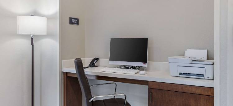 舒适套房酒店(Comfort Inn & Suites)图片