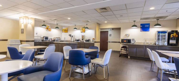 斯普林菲尔德舒适套房酒店(Comfort Suites)图片