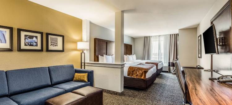 舒适套房酒店(Comfort Suites)图片