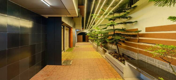 Treebo Sunheads图片