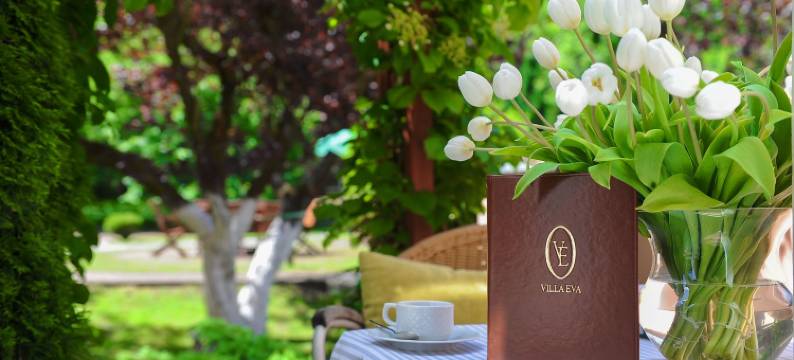 伊娃别墅酒店(Hotel Villa Eva)图片