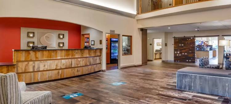 伯灵顿舒适套房酒店(Comfort Suites Burlington)图片