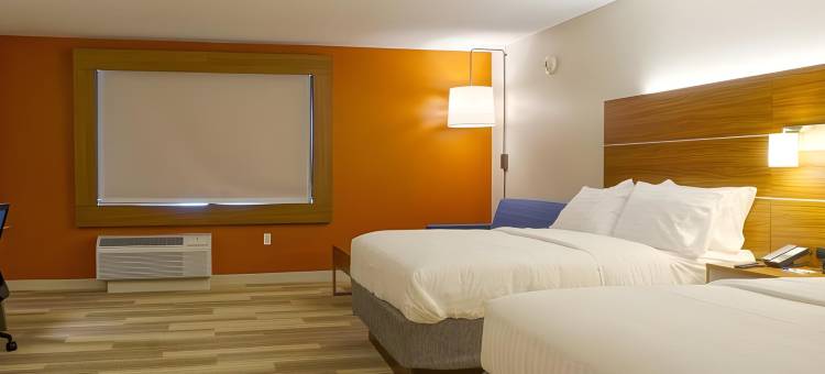 奥马哈智选假日套房酒店-米拉德区(Holiday Inn Express & Suites Omaha - Millard Area)图片
