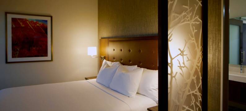 拉斯维加斯银顿村凯悦嘉轩酒店(Hyatt Place Las Vegas at Silverton Village)图片