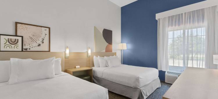 圣安东尼奥多米尼恩希尔顿斯帕克酒店(Spark by Hilton San Antonio Dominion)图片