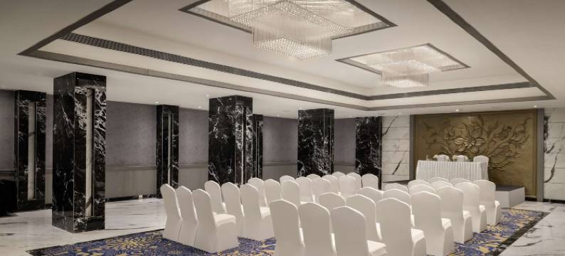 贾斯拉杰宫酒店，雅瓦特马尔，丽笙精选成员(Jasraj Palace Yavatmal Hotel, a Member of Radisson Individuals)图片