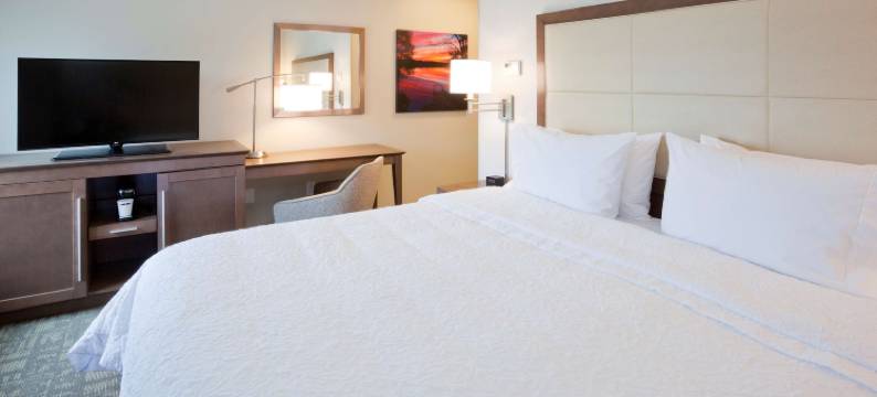 斯派塞绿湖希尔顿欢朋酒店(Hampton Inn Spicer Green Lake)图片