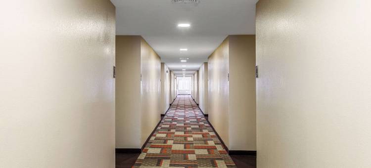 萨凡纳盖特威I-95凯隆波因特酒店(Clarion Pointe Savannah Gateway I-95)图片